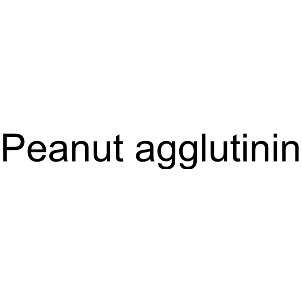 Peanut agglutinin